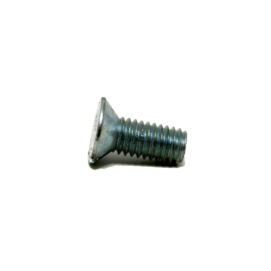 29/e1 Ramskruv (Torx)