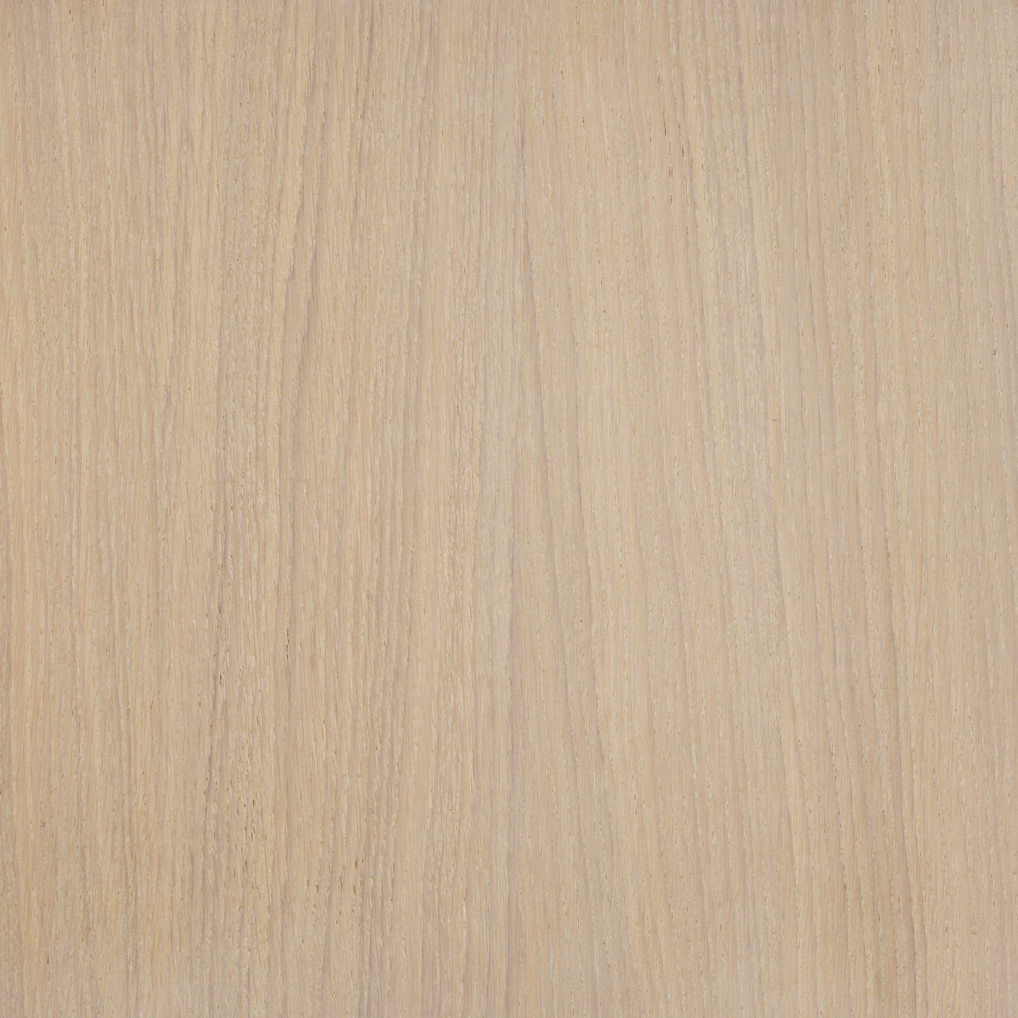 RM Gold 1.3 L Cotton White